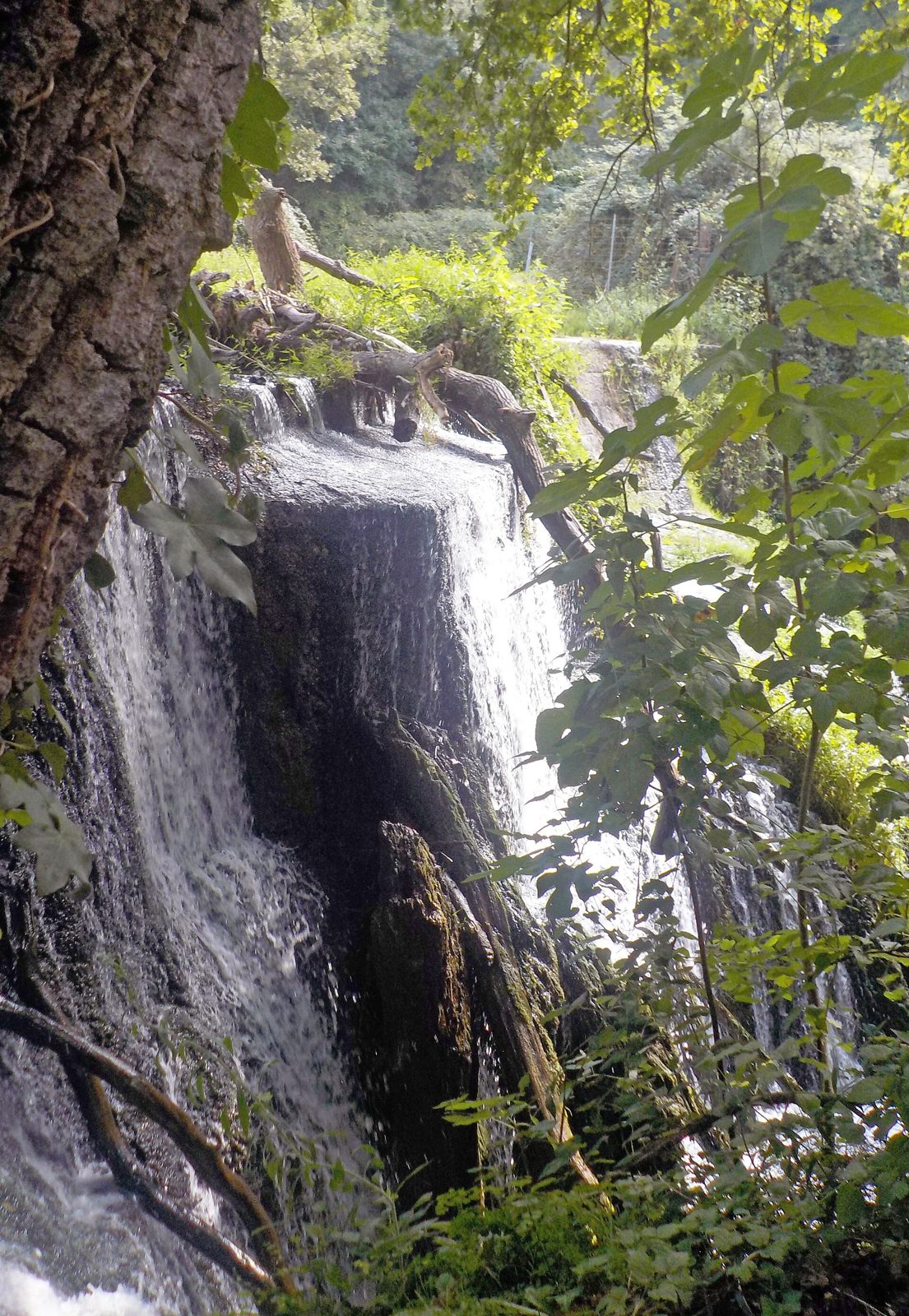 Cascata del Cremera alla Mola di Formello.jpg