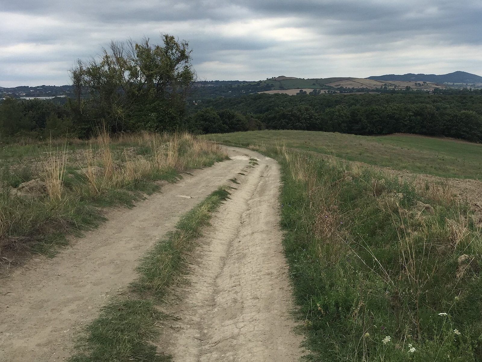 Strada sterrata tra i campi lungo la Via Francigena nel tratto tra Campagnano di Roma e La Storta
